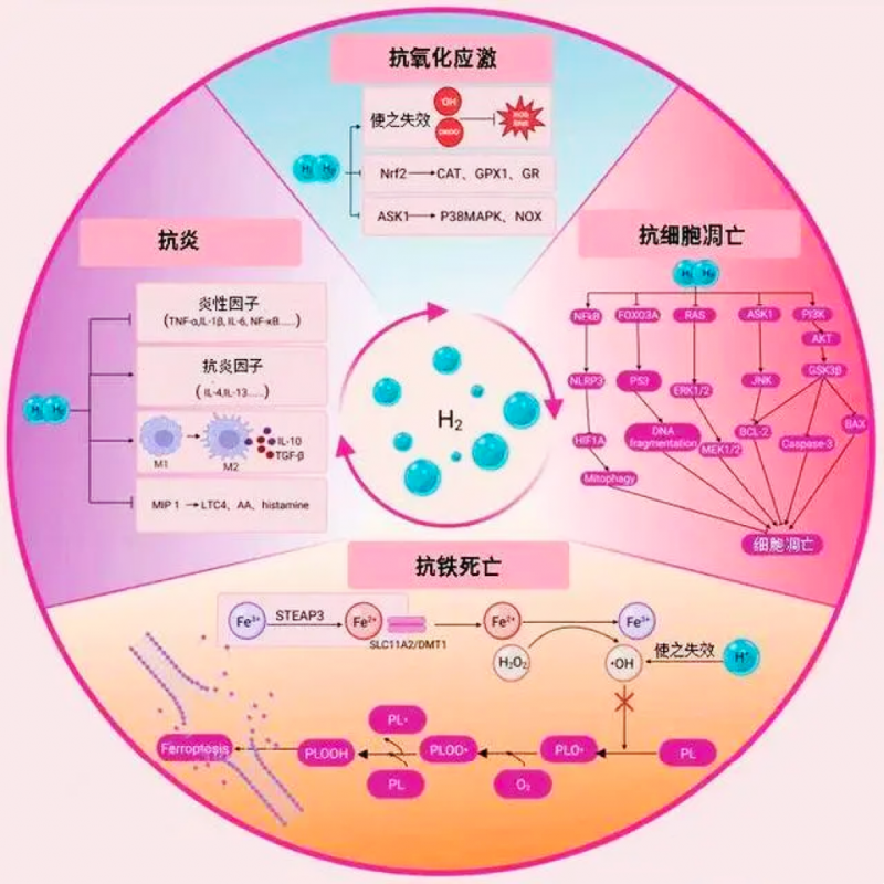 臻氢水接棒富氢水 “氢+”推动生活新变化