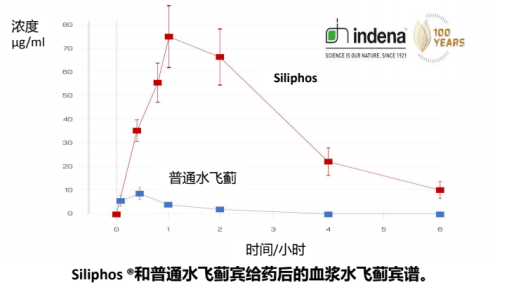 熬夜应酬护肝利器——揭秘美国Jarrow奶蓟草护肝胶囊