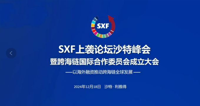 徐亭：人工智能国际治理与智产融合创新实践引领者