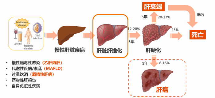 看见新力量|国产FibroScan® Pro无创肝病检测仪成医疗健康新热门