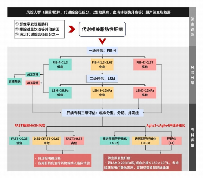 看见新力量|国产FibroScan® Pro无创肝病检测仪成医疗健康新热门